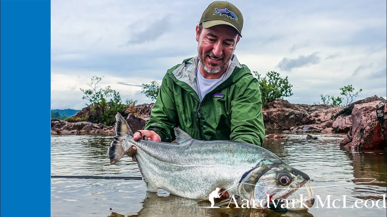 Fly Fishing For Payara From Xingu Lodge In Brazil