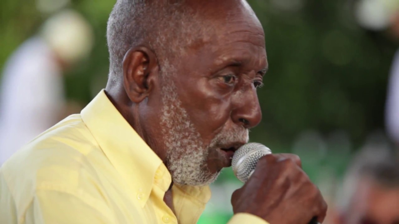 Falso Amor Sincero | Nelson Sargento