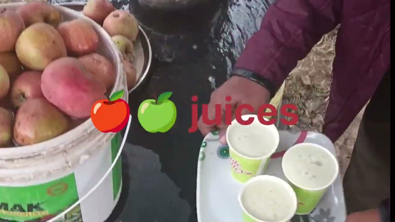 phalagum trip✈️...