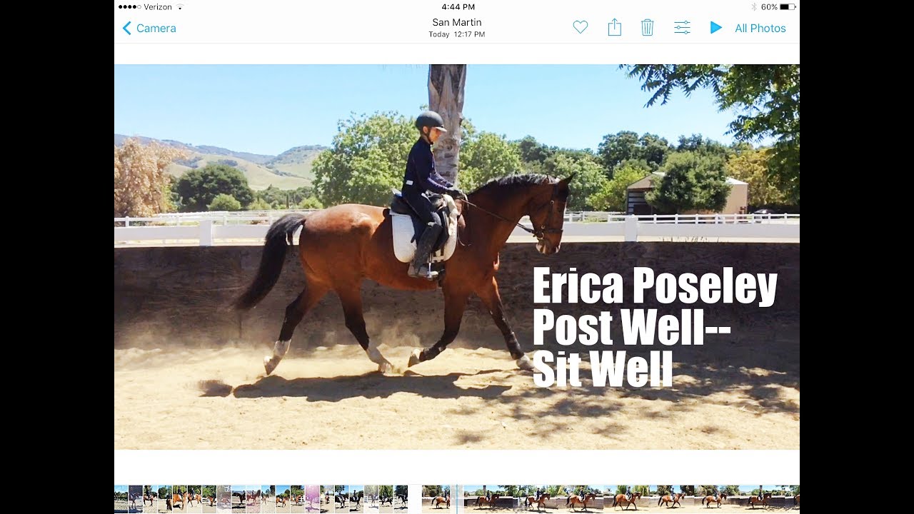 Rider Biomechanics: How to Develop Sitting Trot by Posting Well--One