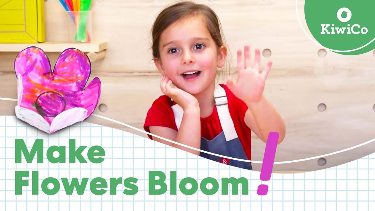 Experiment with Colorful Blooming Flowers | Exploration Station | KiwiCo