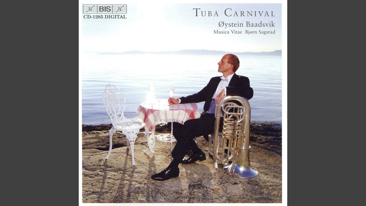 Fnugg for Solo Tuba