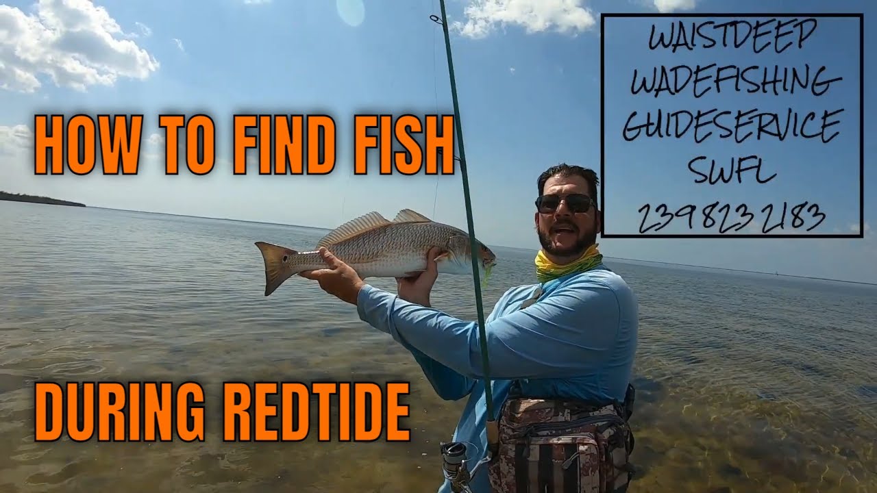 FINDING WADEFISHING SPOTS AND REDFISH IN SWFL DURING REDTIDE !!!