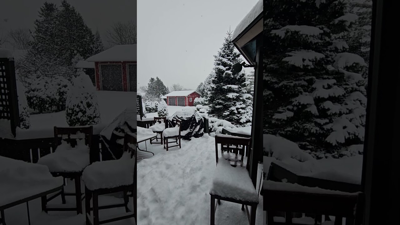 Snowing in Canada 2024. 🥶☃️🇨🇦 #christmas #winter #canada #londonontario #winter #snow #snowfall