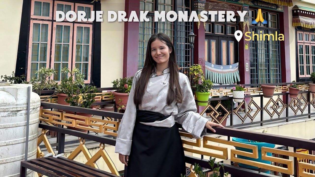 Visited  Shimla , Dorje drak monastery || H.H Yangsi Rinpoche 🙏| Blessed 💕 