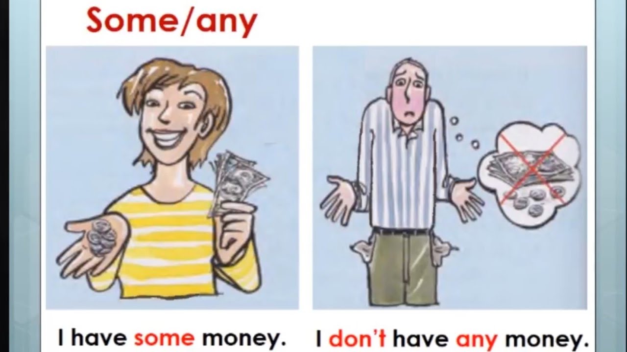 Жийдегүл Алымидин кызы - 21 - Basic English Some, any, much, many, a lot  a little, a few