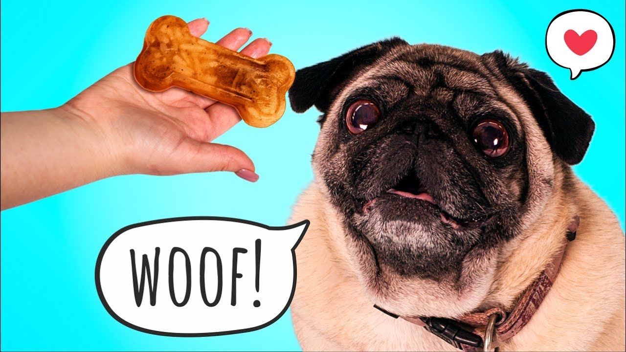 5 Easy to Make DIY Dog Stuff and Gift Ideas For Dog Owners
