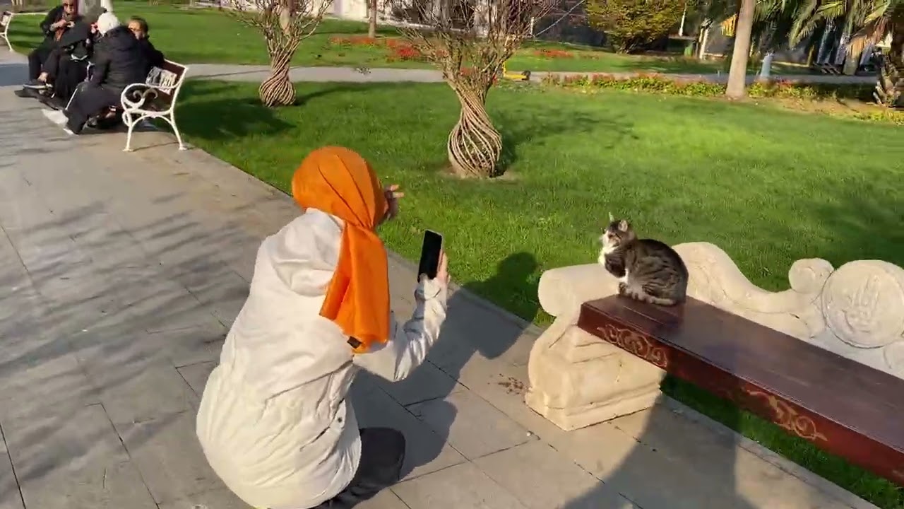 Göztepe Parkı /Bağdat Caddesi yürüyüş 