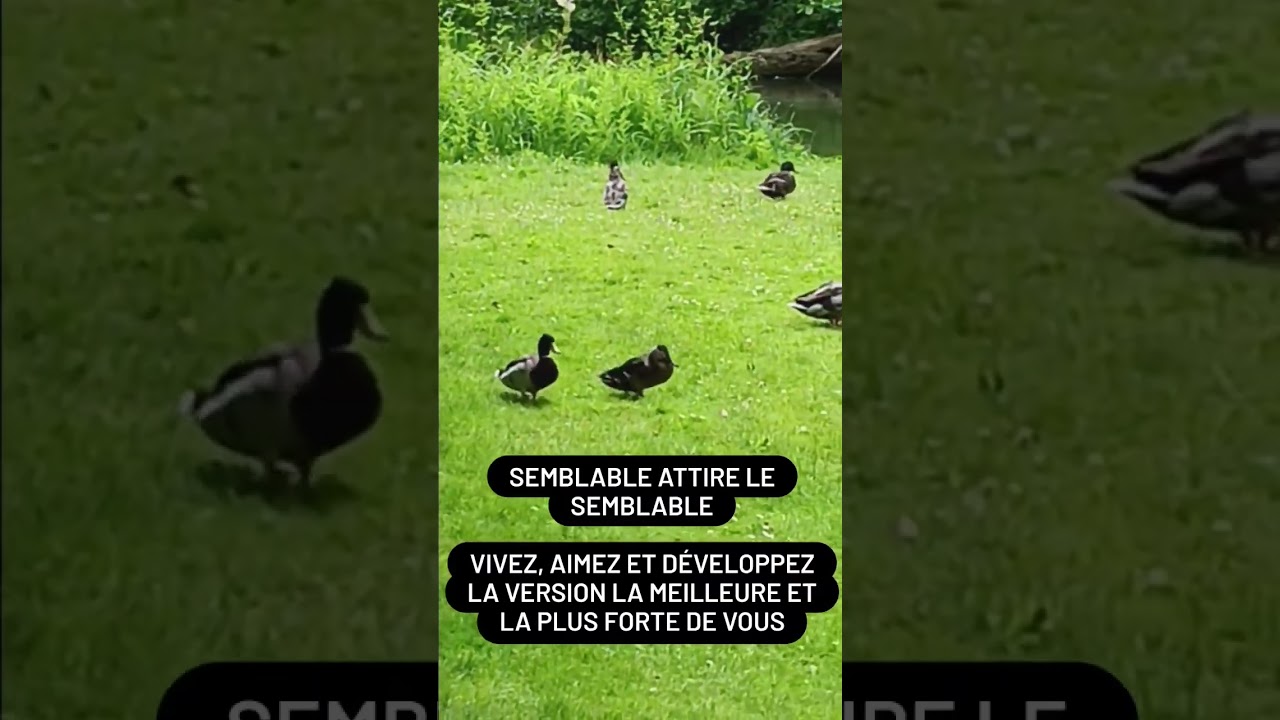 semblable attire le semblable