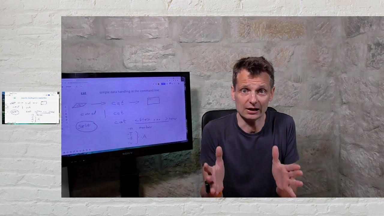 cat: the essential must-to-know tool