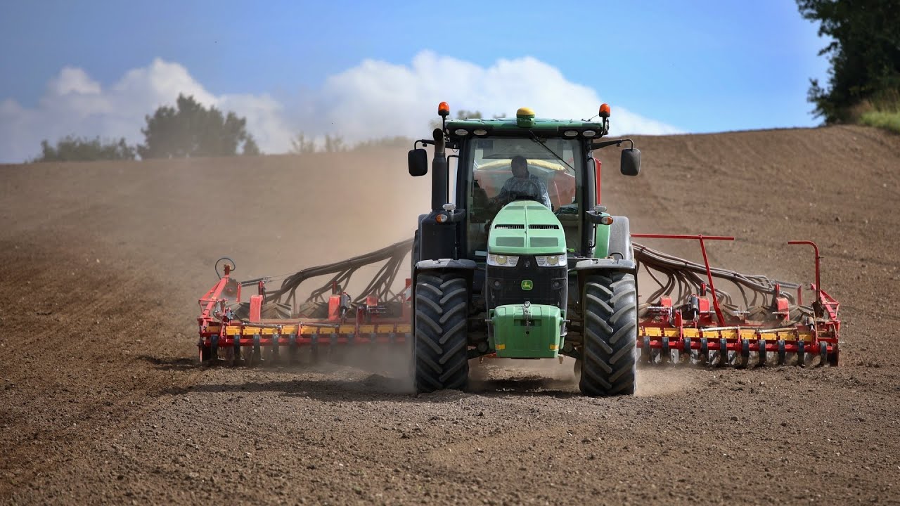 Setí ozimé řepky má svá jasná pravidla | Rok zemědělce