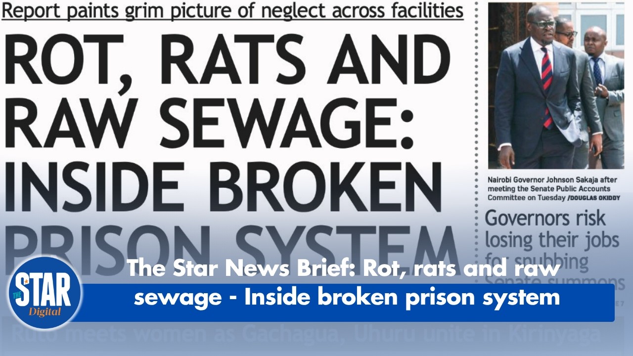 Краткий обзор новостей от газеты The Star: Гниль, крысы и неочищенные сточные воды &mdash; изнутри разр...