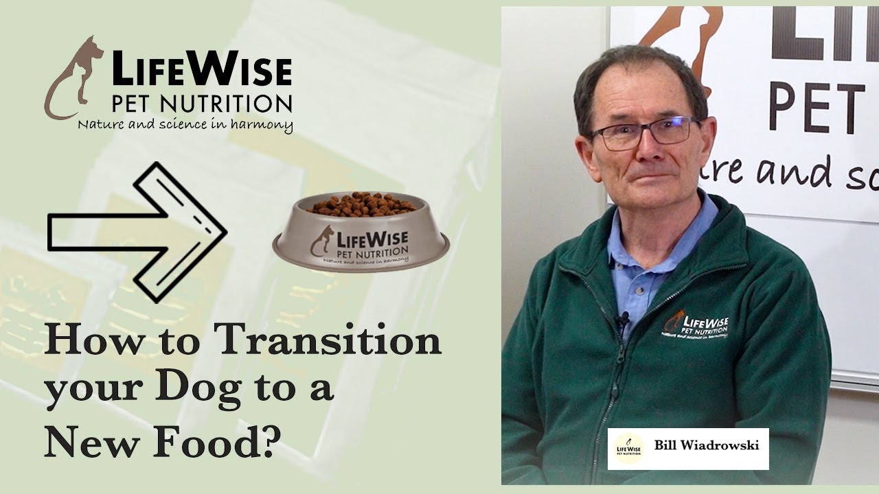 How to transition your Dog to a New Food?