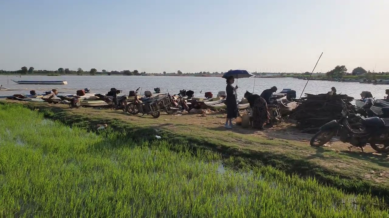  បឹងនិងវាលស្រែបៃតង លាយលំជាមួយខ្យល់បរិសុទ្ធ 🌾Lake and Rice fields In Kampong Cham, Cambodia🇰🇭