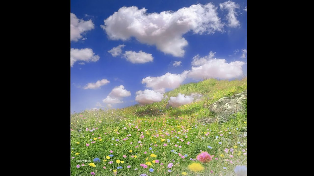 [FREE] Playboi Carti x Pierre Bourne Type Beat - 