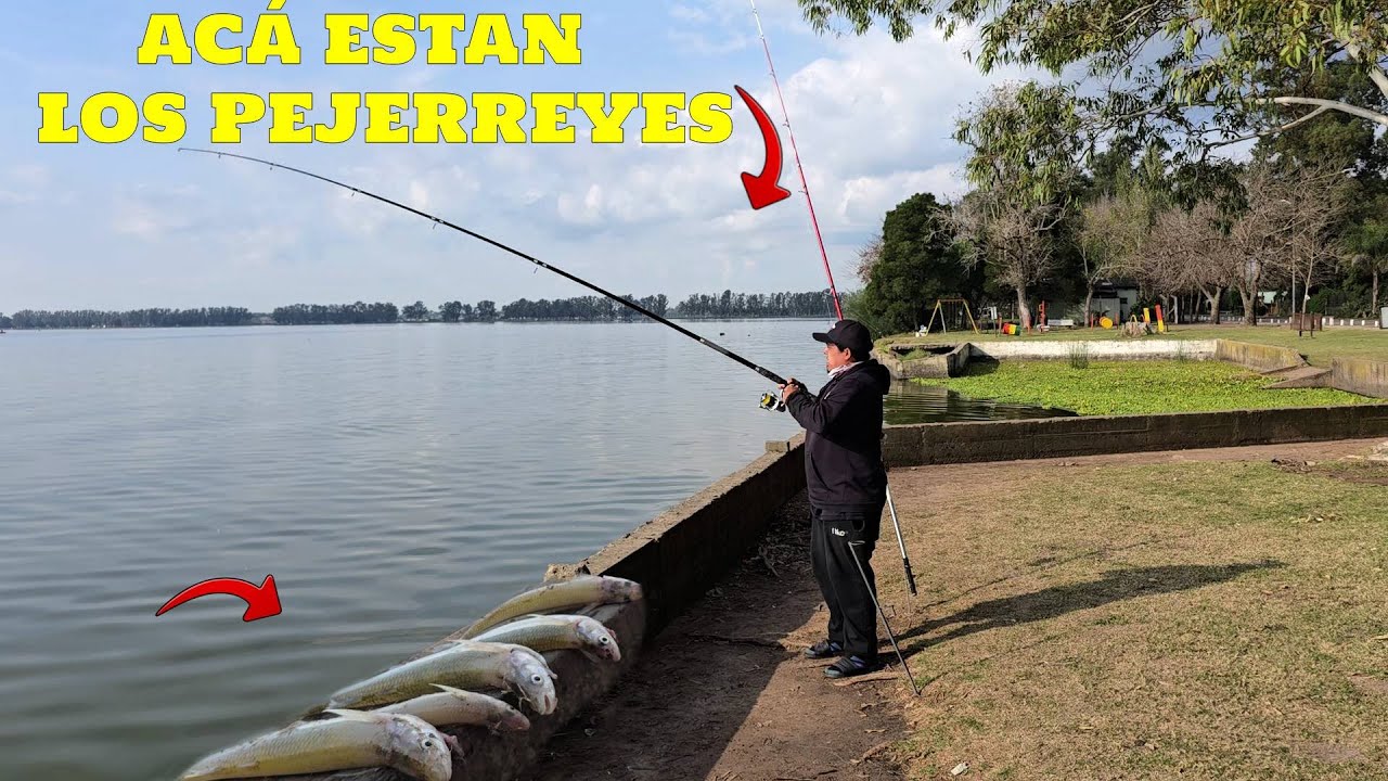 QUERES PESCAR MATUNGOS? ANDA YA A ESTE LUGAR Y SACATE LAS GANAS DE COMER PEJERREY FRITO!!!