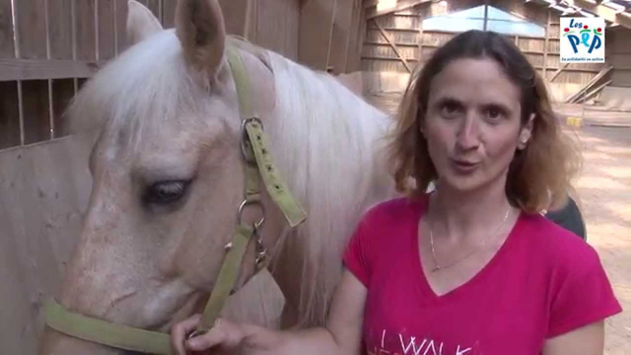 Centre &eacute;questre / La Combelle PEP 54