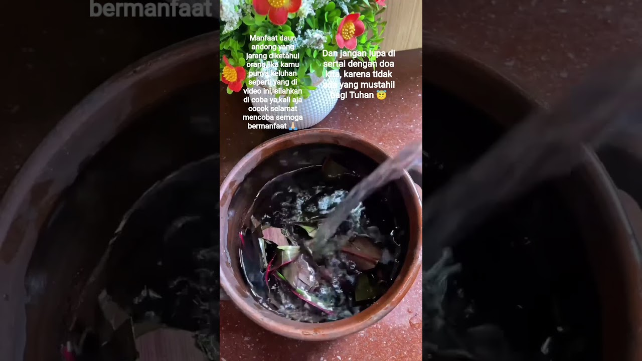 obat wasir herbal alami 