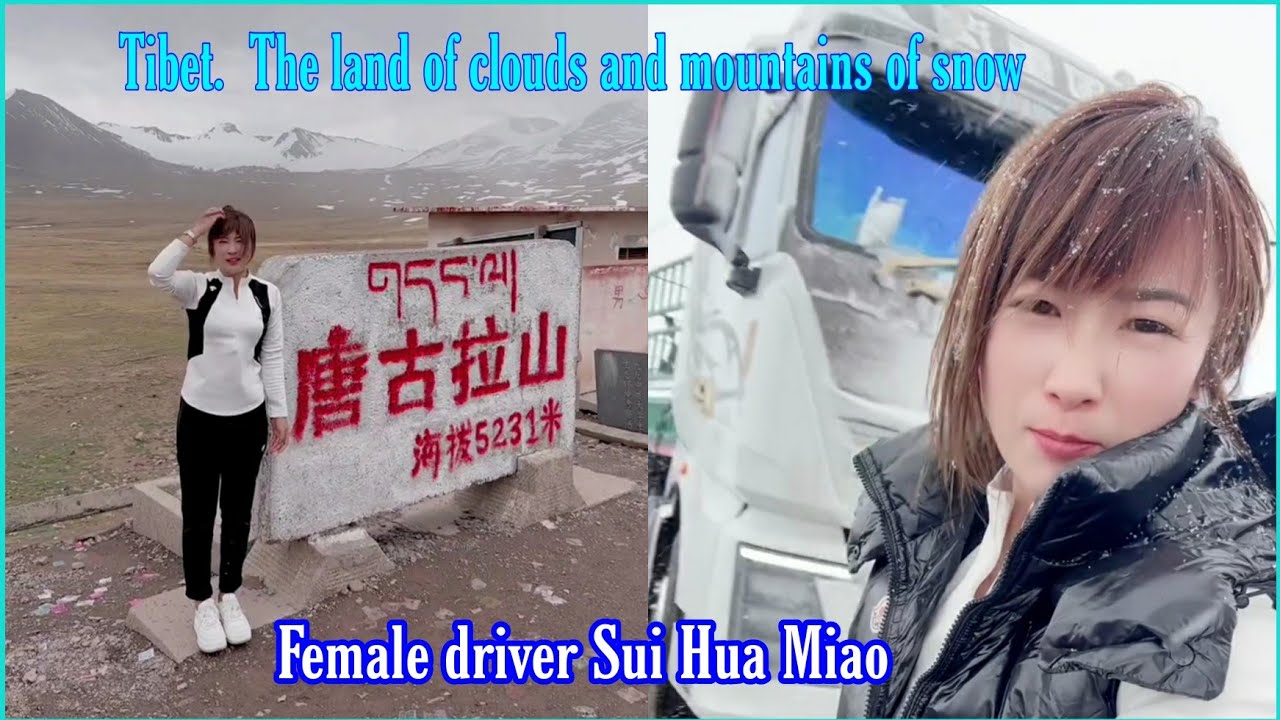 Конец путешествия на Тибетское нагорье. Красивая женщина-водитель Суй Хуа Мяо