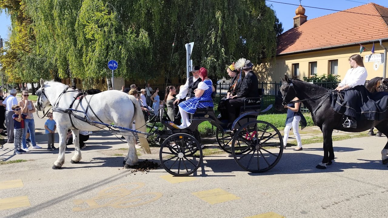 Szüreti felvonulás.Kartal.2025.09.20