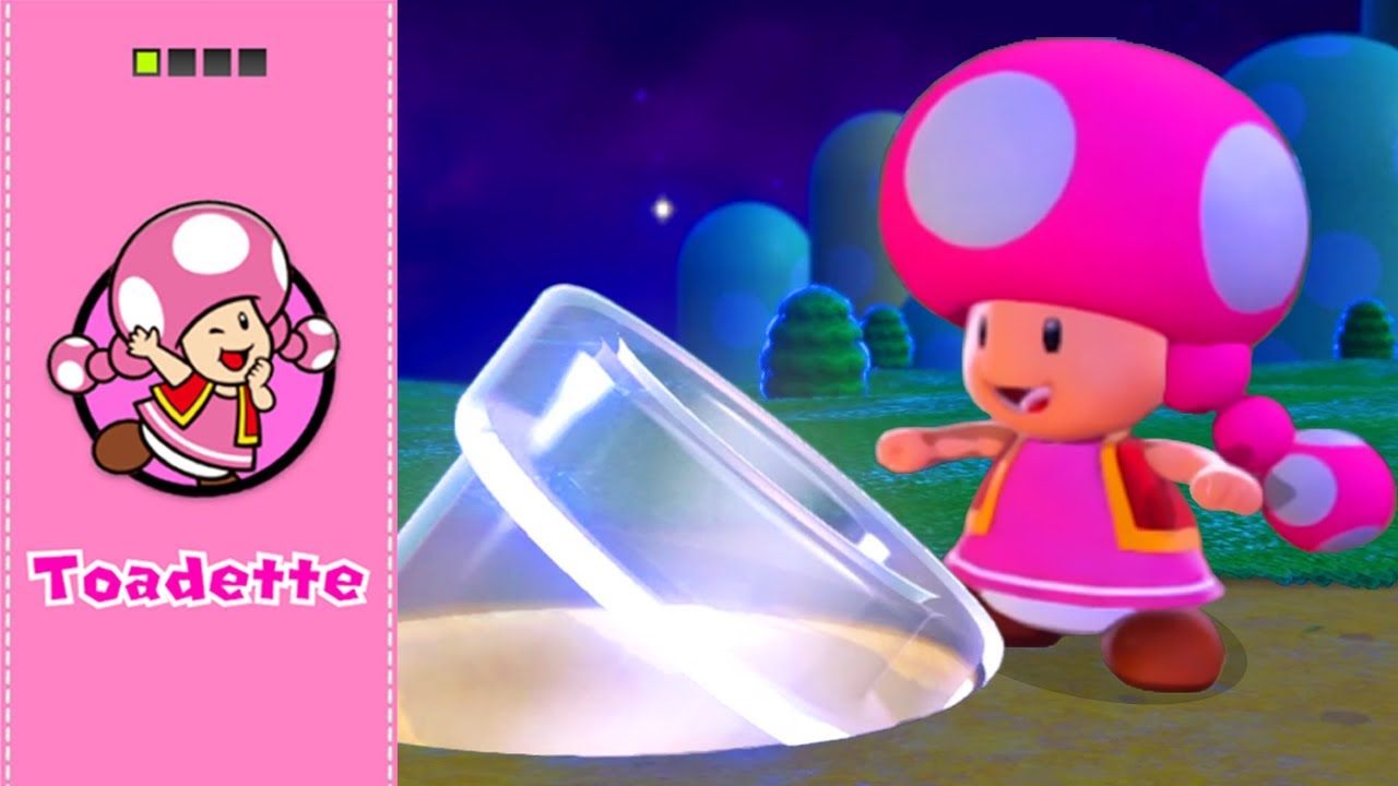 What if Toadette is playable in Super Mario 3D World?