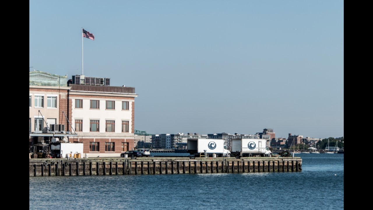 Red's Best - Springtime At The Boston Fish Pier