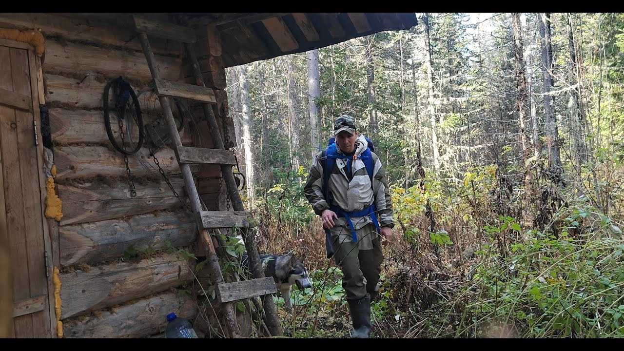 Осенняя охота 2023