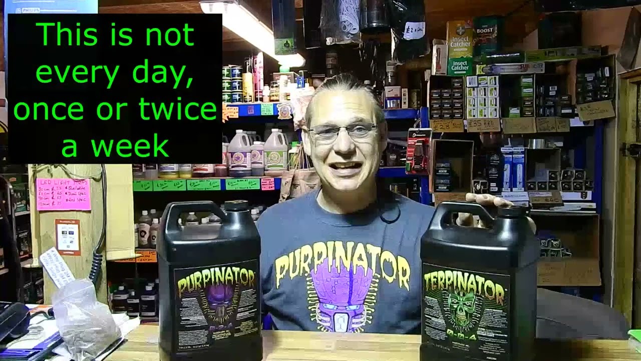 Турпинатор Пурпинатор