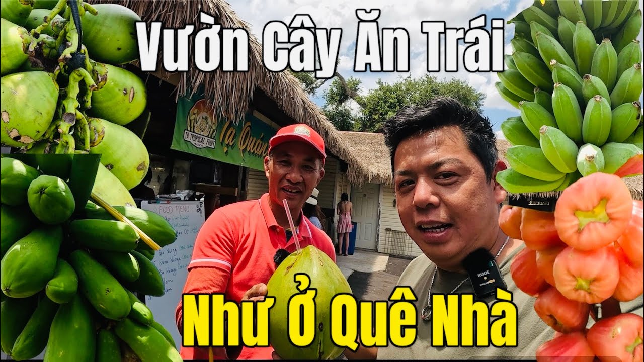 Vườn Trái Cây Sinh Thái “TA Tropical” Một Địa Điểm Mới Tại Florida Mà Bạn Không Thể Bỏ Qua