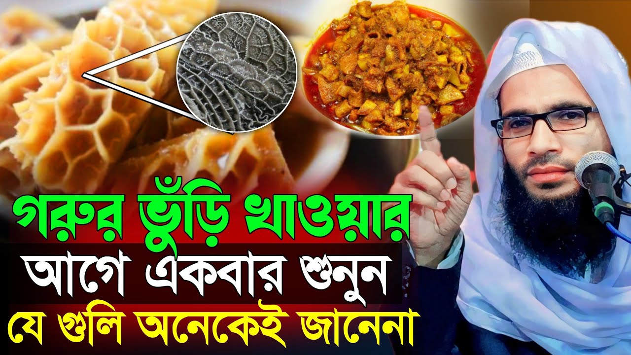 গরুর ভুঁড়ি খাওয়ার আগে শুনুন | abdullah zubair waz | আব্দুল্লাহ জুবায়ের ওয়াজ | zubair jalsa | waz