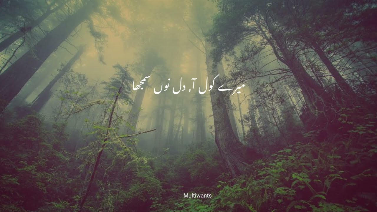 Mera Rom Rom Khali Hai | Rizwan Anwar | Tu Mera Nahin | Urdu Lyrics | Nescafe Basement | Multiwants