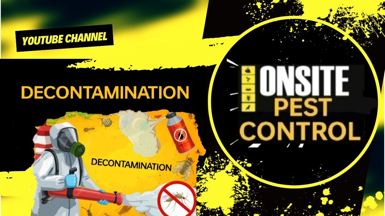 DURBAN PEST CONTROL / Decontamination