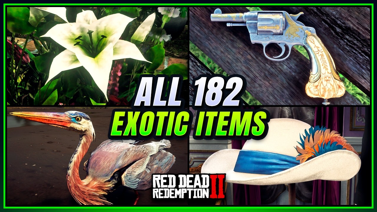 RDR2: ALL 182 Exotic Item Locations - FAST & EASY Guide (Duchesses & Other Animals Guide)