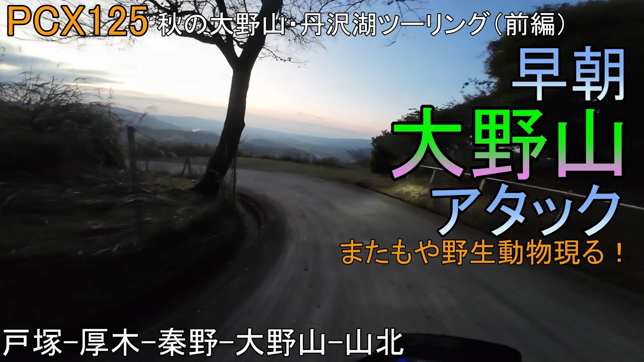 【PCX125】秋の大野山・丹沢湖ツーリング（前編）