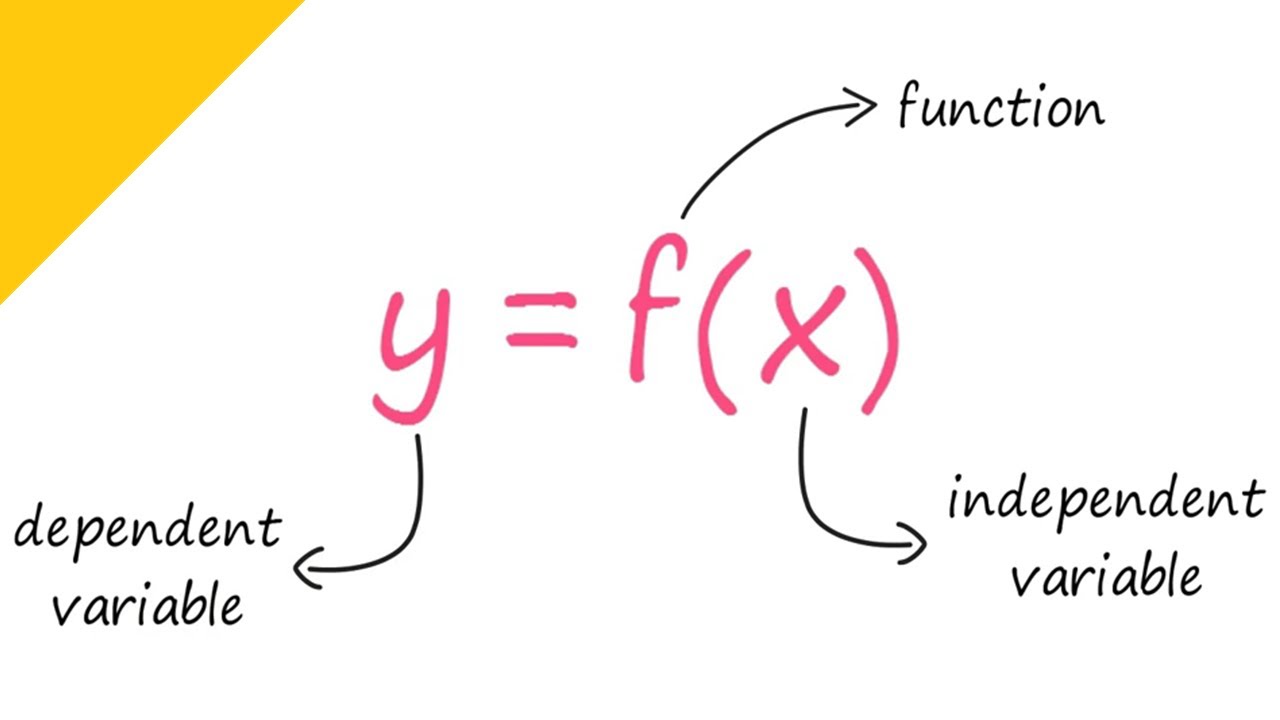 Function in mathematics