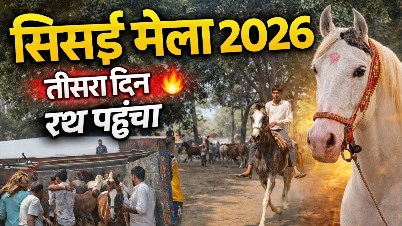 सिसई मेला मे Truck से Ghode आ रहो हो 😵🐎 #viral #youtube #content #viral #long #trending #viral #vlog
