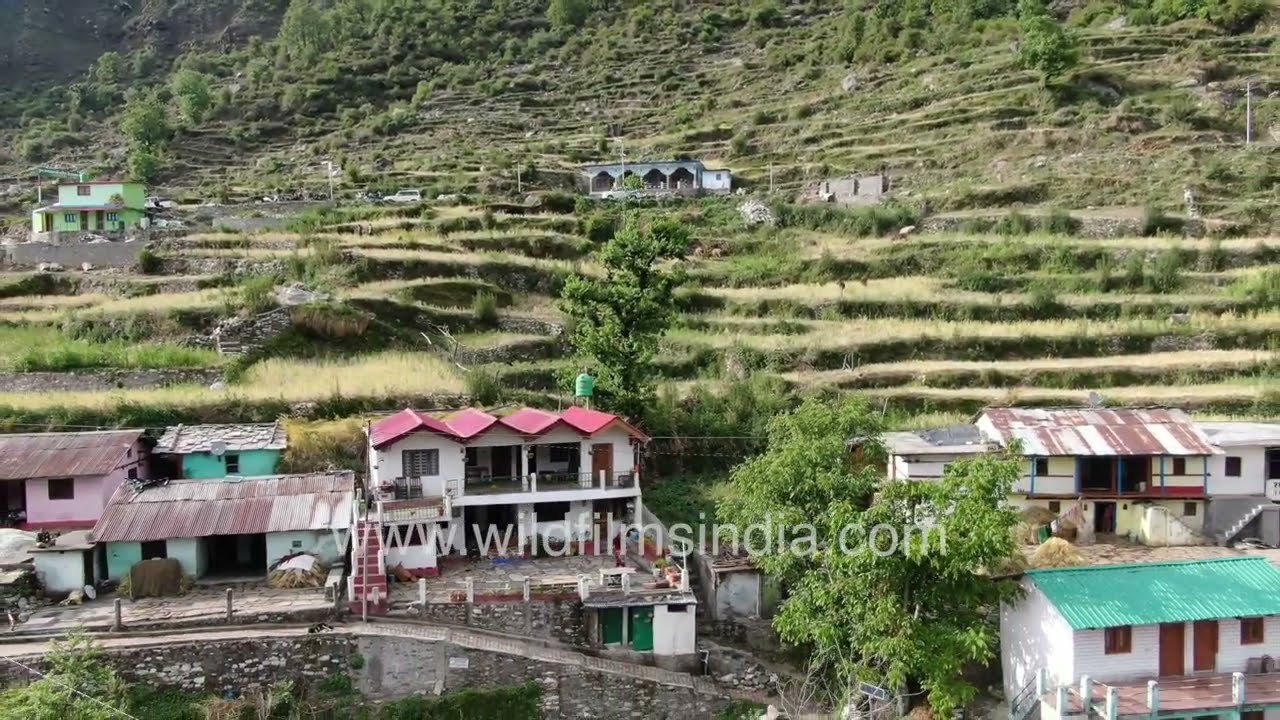 Mukhba Valley Near Gangotri Dham: A Lush Green Hillside with Traditional Village Homes