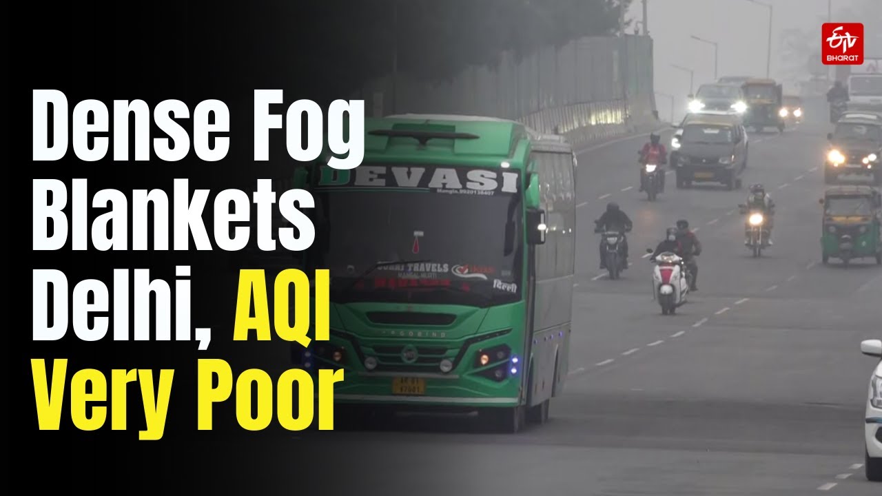 Dense Fog In Delhi: Dozens Of Flights Cancelled, Over 80 Trains Delayed
