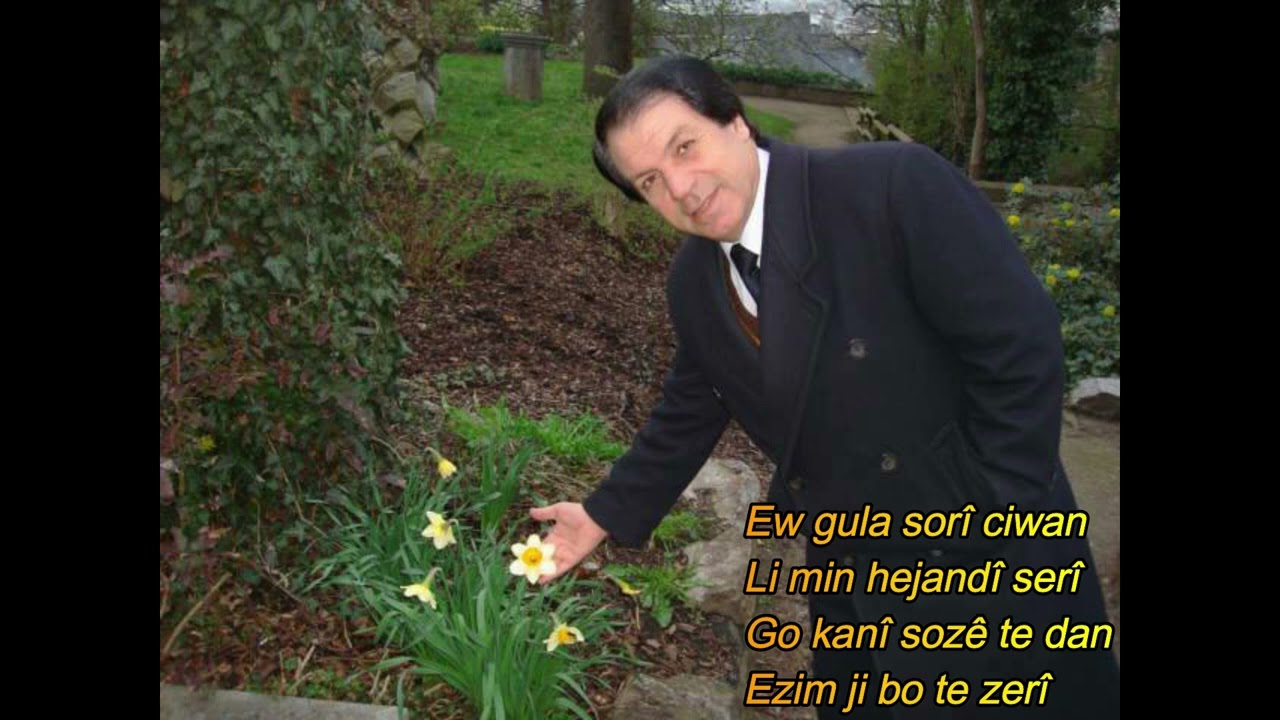 Seîd Yûsiv - Gulê me sor û zer in 1993 ( Elmanya ) - سعيد يوسف - گولى مه صور و زرن