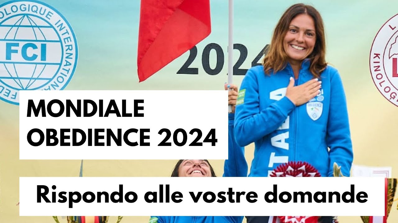 Mondiale Obedience 2024 - Quanta genetica e quanto lavoro? (5/12)