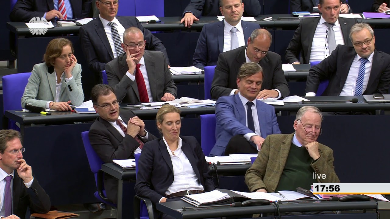 Reinhard Brandl: Rechtskonformit&auml;t der Euro-Stabilisierung [Bundestag 21.11.2017]