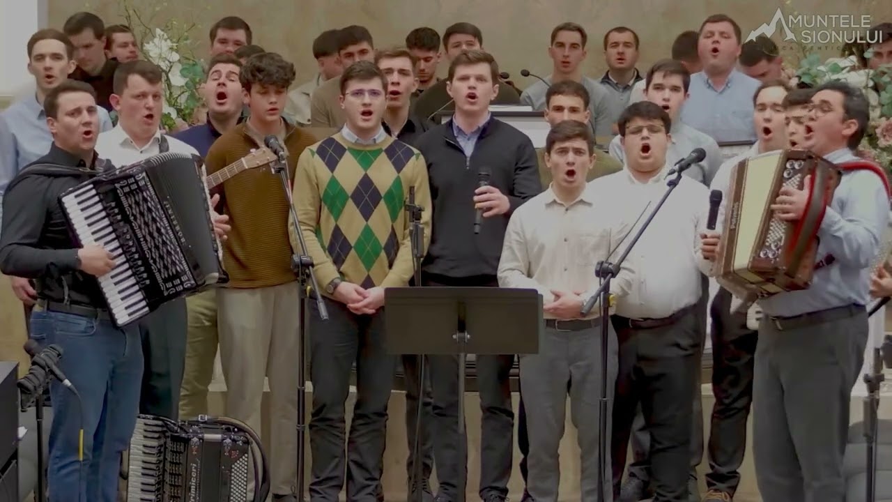 Beni Cibu & Prietenii | O Vino, Vino 