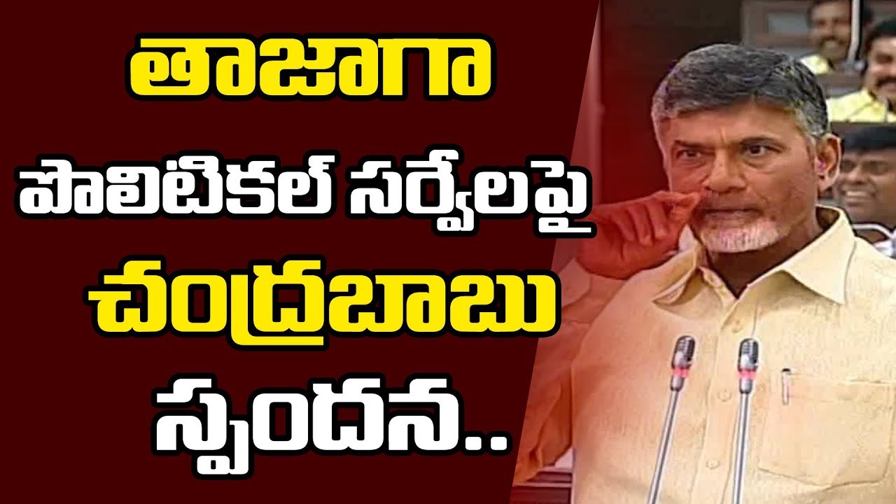 CM Chandrababu Response on Latest Political Surveys | AP 2019 Elections Survey | YOYO TV Channel