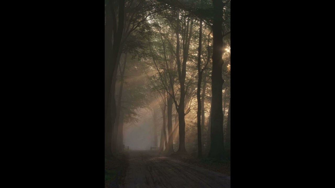 [FREE] Iayze + Regalia Type Beat 