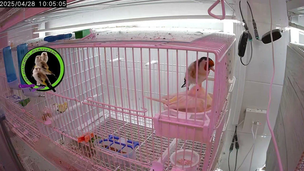 Imagenes Sorprendentes, nunca vi cosa igual