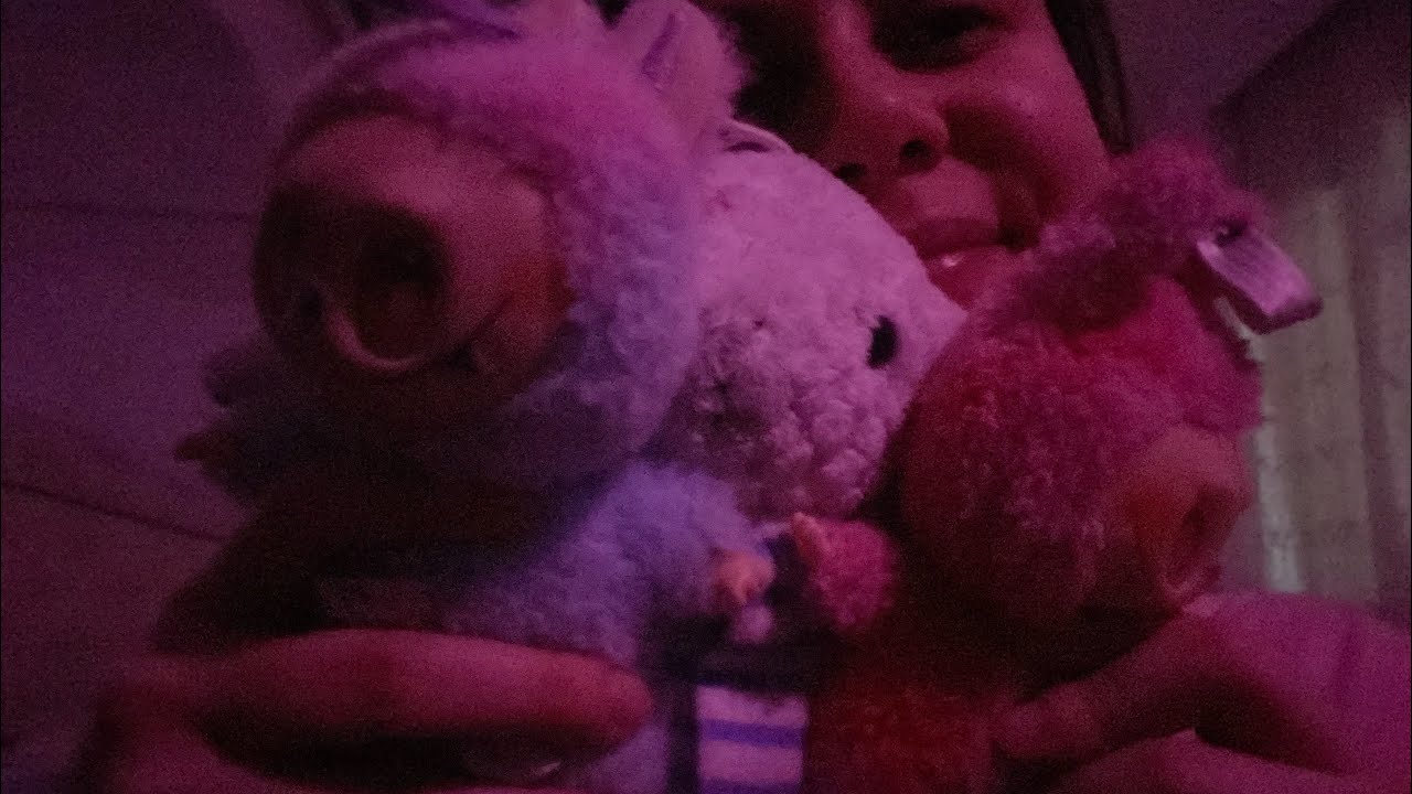 Asmr | Peluş oyuncak sesleriyle uykuya dalacaksın 💤 