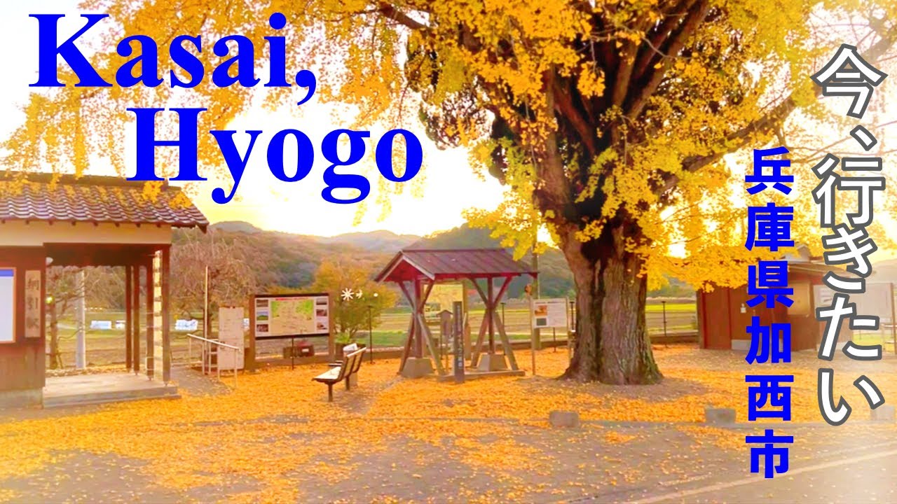 兵庫／加西】自然豊かな街加西を一日満喫！ 関西発！今屋のハンバーガー～北条鉄道～ブランチカフェ古道～果樹花ふぁーむ～多聞寺～奥山寺