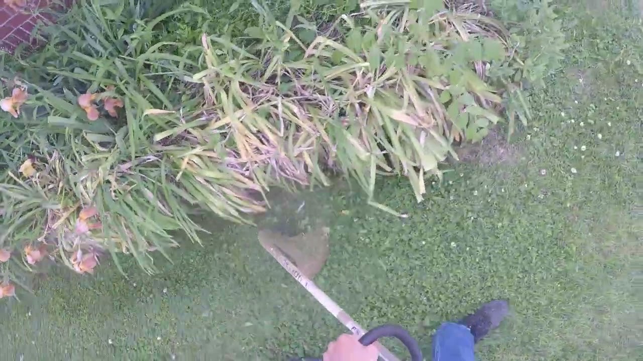 part 1 of TRIMING of my 2020 STIHL FS 38