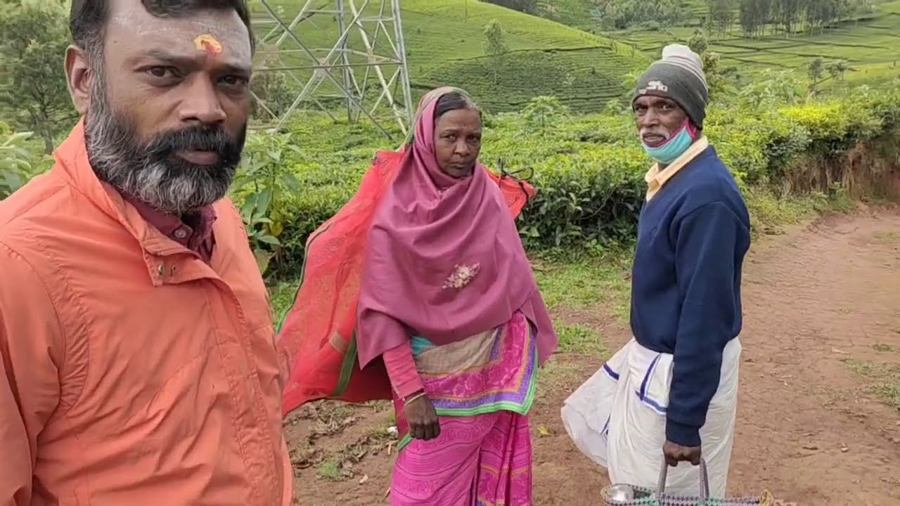 ஊட்டி ஸ்ட்ராவ்பெர்ரி wholesale/ooty strawberry wholesale business details tamil/ooty business vlog 5