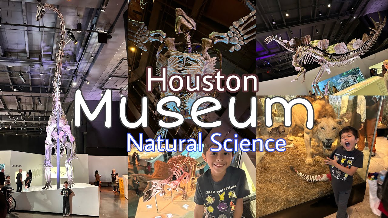 Houston Museum Of Natural Science